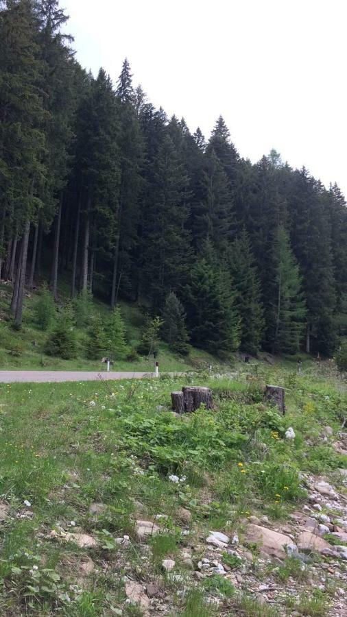 Casa A Pie Di Pista Appartement Tesero Buitenkant foto