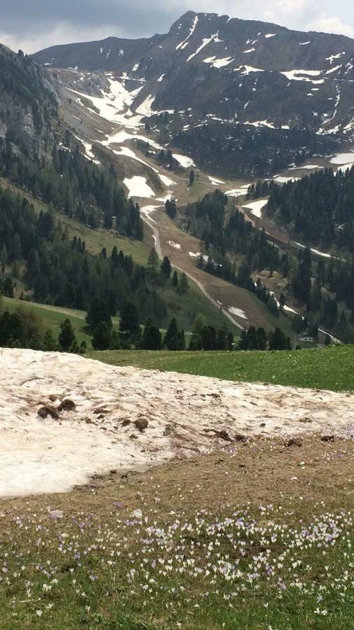 Casa A Pie Di Pista Appartement Tesero Buitenkant foto